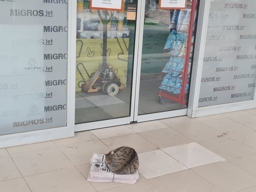 Edremit'te Soğuk Günün, En Sıcak Kareleri