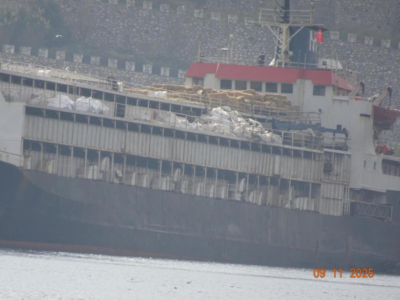 Herkes Bunu Konuşuyor: Bandırma'da inekler susuzluktan boruları yalıyor!