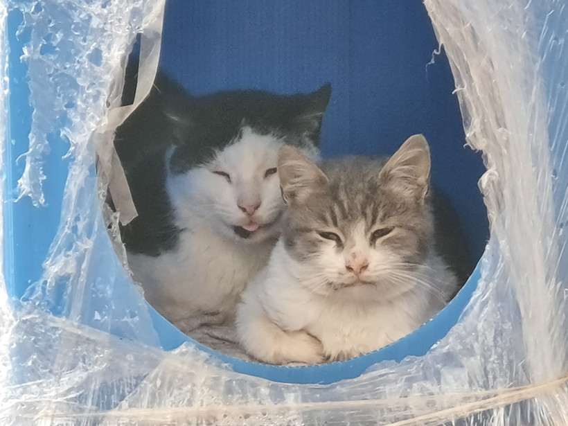 Edremit'te Soğuk Günün, En Sıcak Kareleri