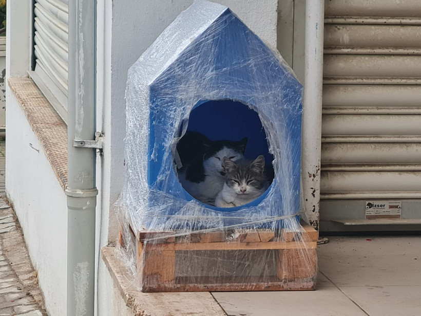 Edremit'te Soğuk Günün, En Sıcak Kareleri