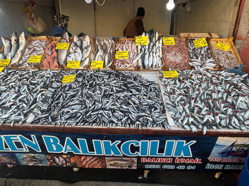 balıkesirde balık tüketimi