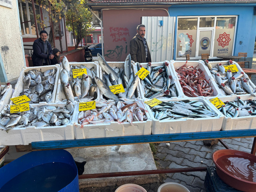 balıkesirde balık tüketimi