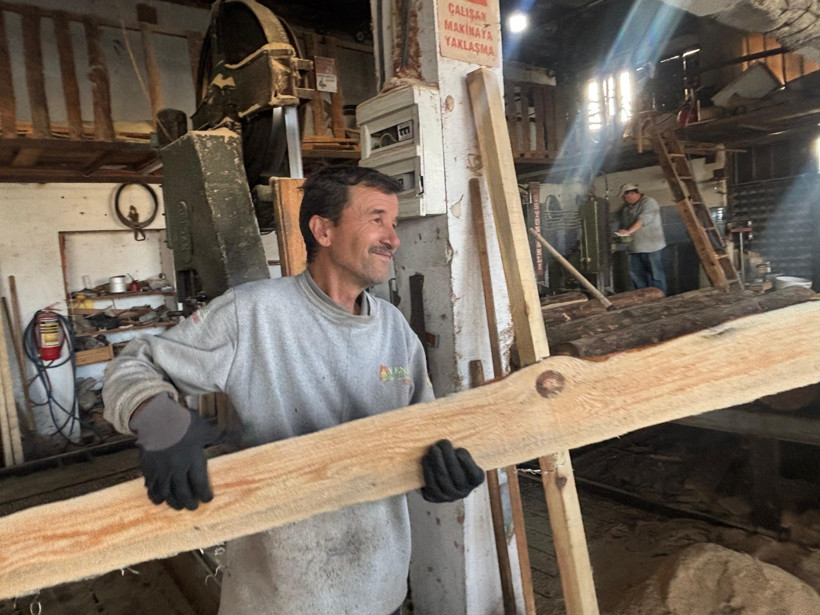 Balıkesir'de kerestecilikte talep olan ağaçlar