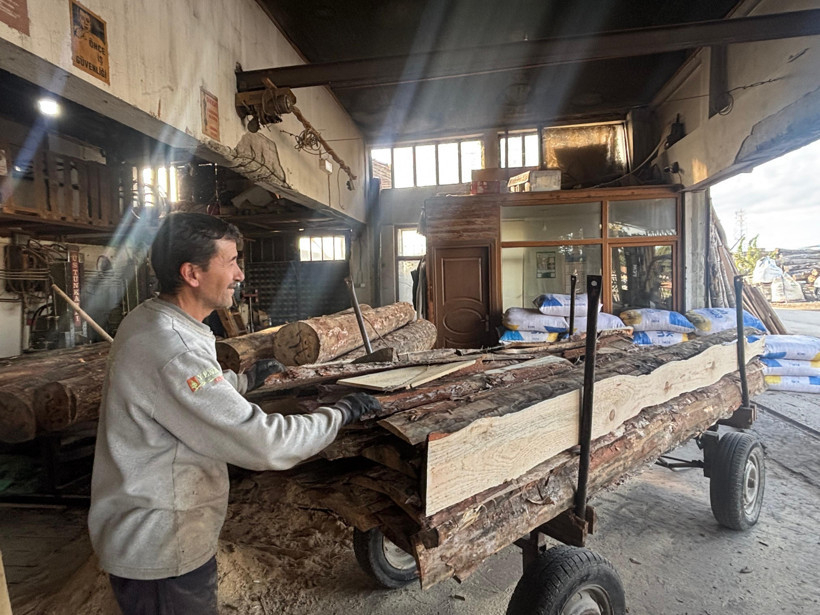 balıkesir'de kerestecilikte hangi ağaçlar talep görüyor Ustası Açıkladı