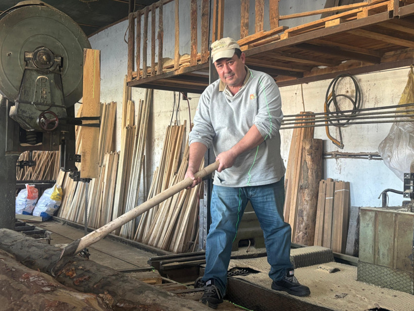 Balıkesir'de talep gören ağaçlar 