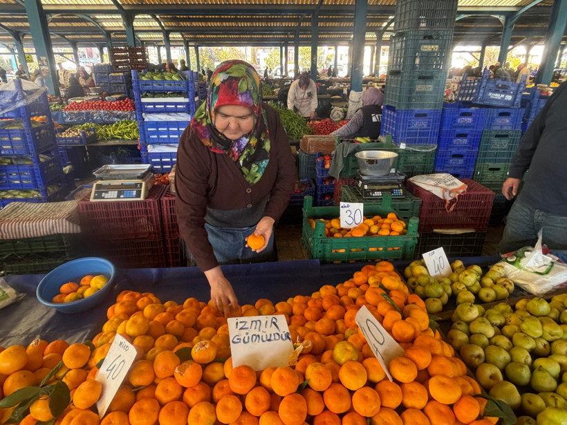 Balıkesirde mandalin fiyatları ne durumda?