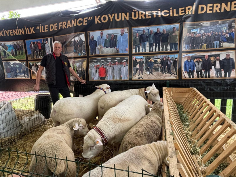 Balıkesir Tarım Fuarı’nda Safkan Heyecan! - Resim: 1