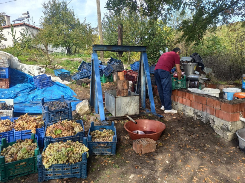 Kalemköy’de Renkli Pekmez Festivali: Mahalleli Hasat Sevincini Paylaştı - Resim: 3