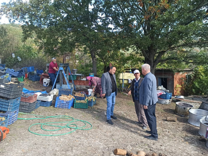 Kalemköy’de Renkli Pekmez Festivali: Mahalleli Hasat Sevincini Paylaştı - Resim: 4