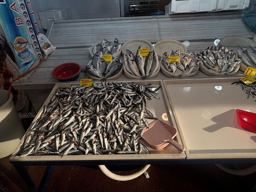 Soğuk Hava Balığı, Sıcak Hava Zorlukları Getirir – Balık Sezonu Bereketli Geçecek - Resim: 1