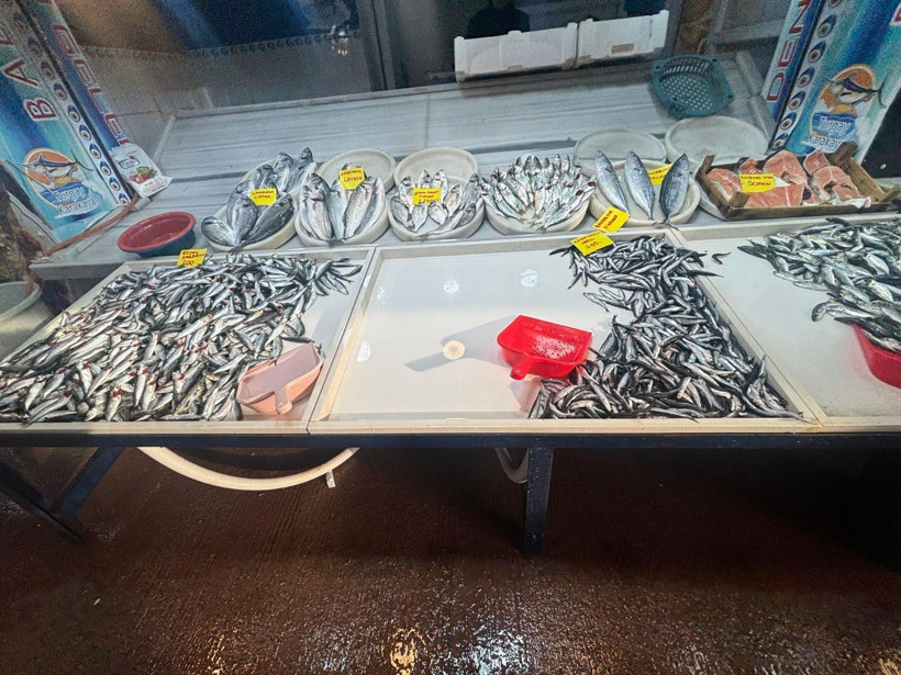 Soğuk Hava Balığı, Sıcak Hava Zorlukları Getirir – Balık Sezonu Bereketli Geçecek - Resim: 2