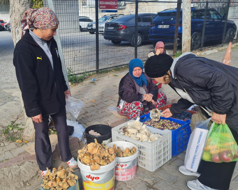 Edremit’te Melki Bereketi Başladı
