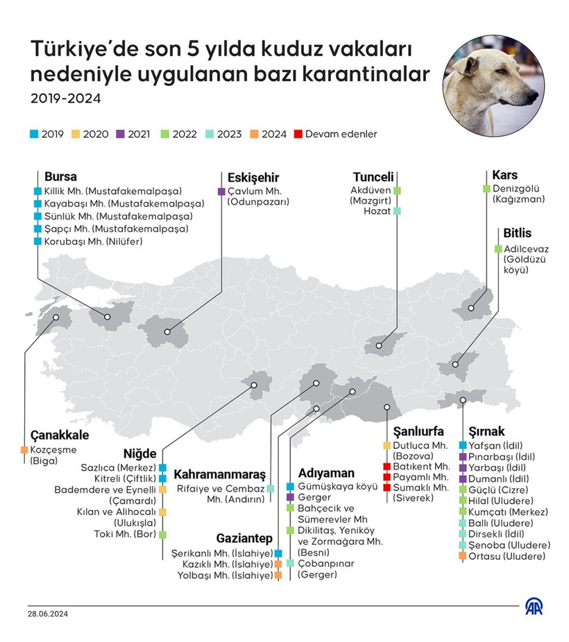 Son 5 Yılda Türkiye’de Kuduz Karantinaları