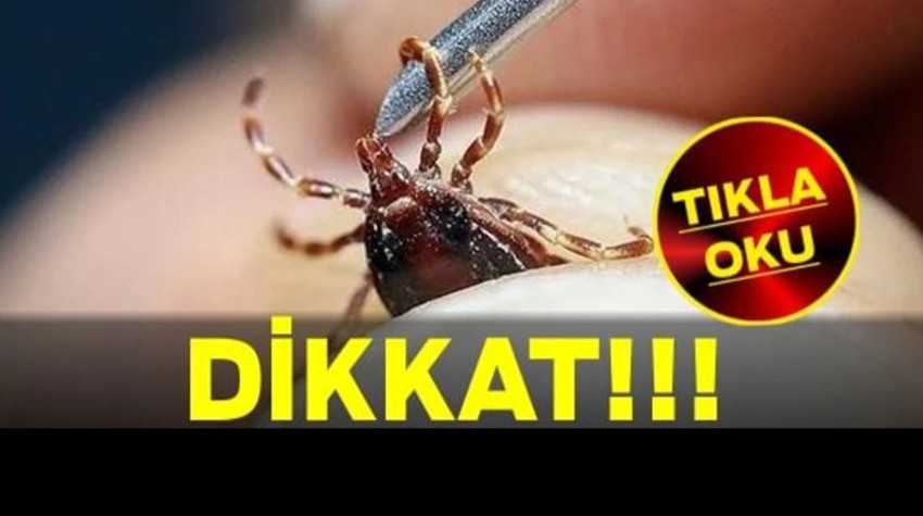 Kene Kusturmayın! Uzmanlardan Hayati Uyarı