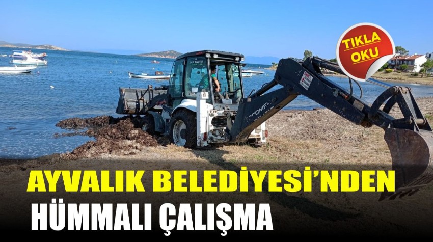 Ayvalık Belediyesi’nden Hümmalı Çalışma