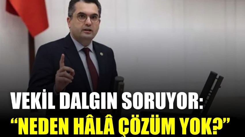 Kokarca Böceği Alarmı! Karacabey’de Üretici Perişan