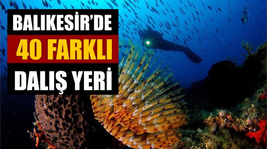 40'tan Fazla Nokta Balıkesir'de Dalış Yerleri