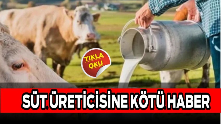 Süt ve Et Üreticisine Kötü Haber: Girdi Fiyatları Tırmanıyor!