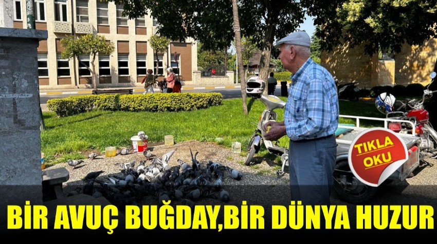 Bir Avuç Buğday, Bir Dünya Huzur