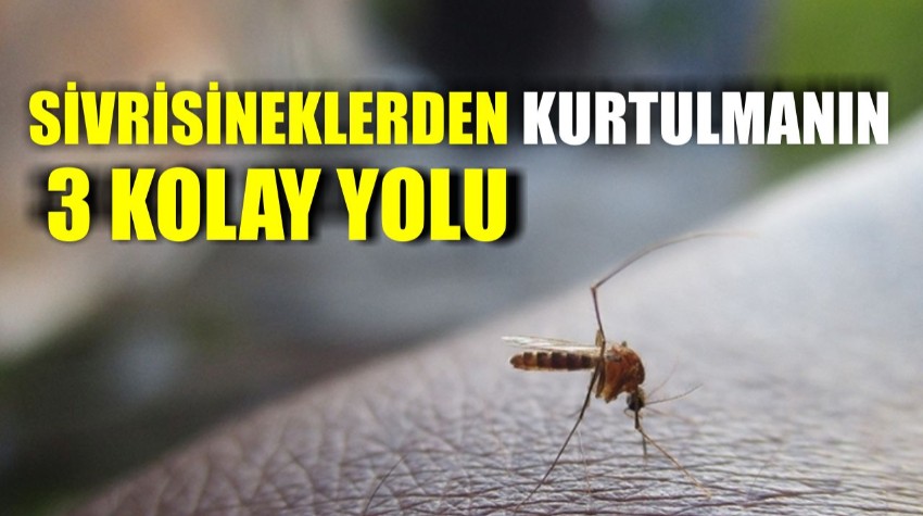 Sivrisineklerden Kurtulmanın 3 Kolay Yolu