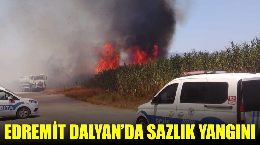 Edremit Dalyan’da Sazlık Yangını Korkuttu