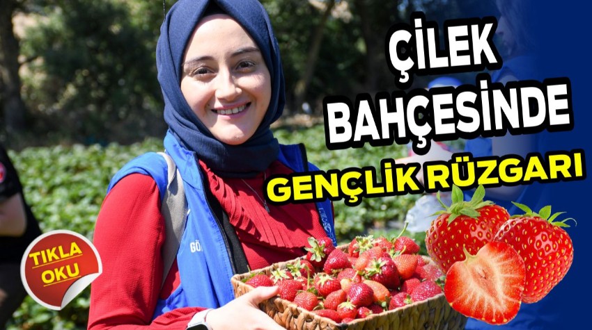 Çilek Bahçesinde Gençlik Rüzgarı