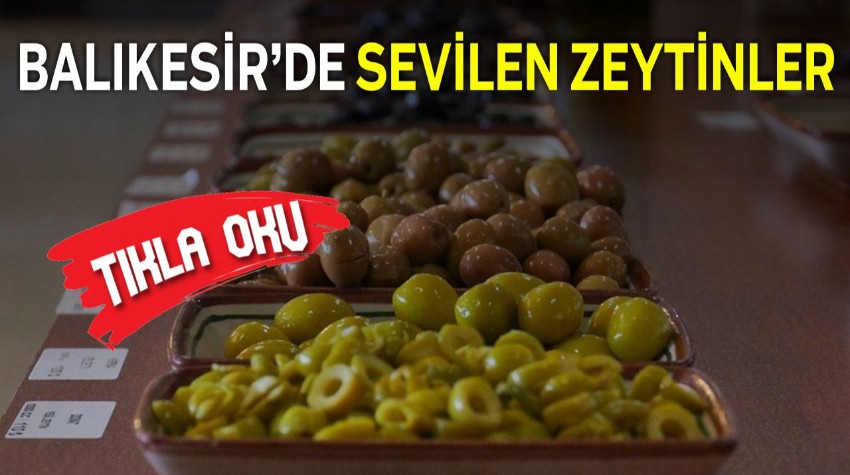 Zeytin Cenneti Balıkesir: Tat Testi ve Farklı Zeytin Türleri