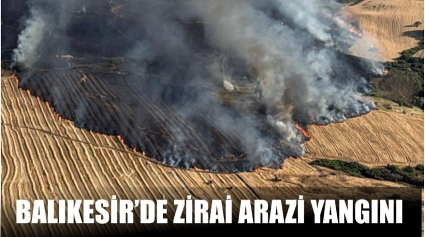 Balıkesir’de Zirai Arazi Yangını: Susurluk ve Bigadiç’te Ekipler Seferber Oldu