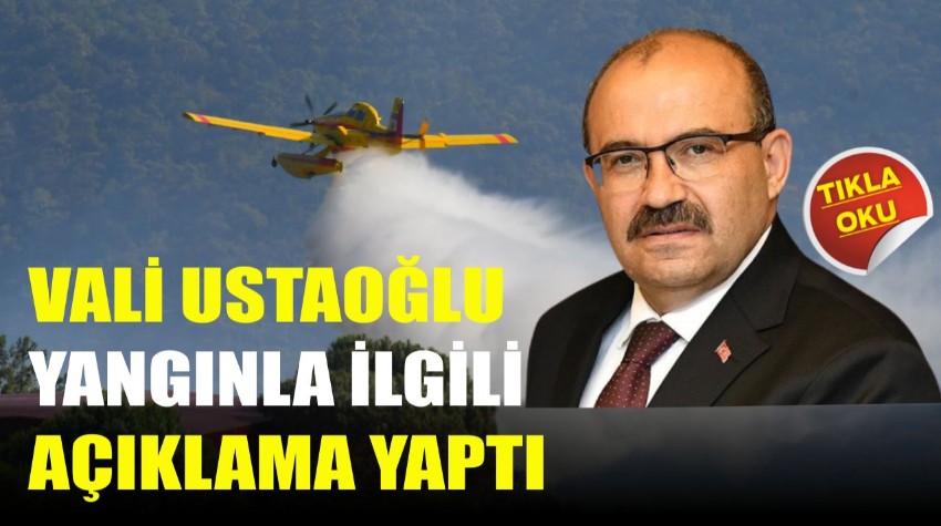 Balıkesir Valisi İsmail Ustaoğlu Yangına İlişkin Açıklama Yaptı