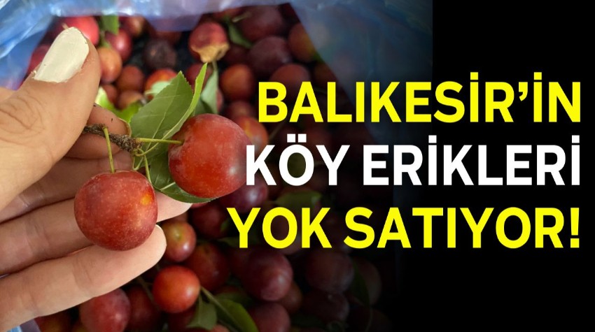 Balıkesir’de Köy Erikleri Vatandaşların Gözdesi