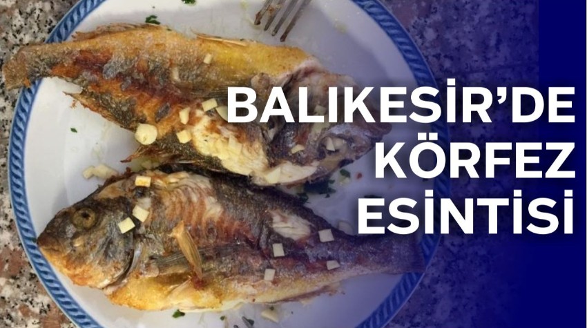 Balıkesir'in Körfez Balıklarıyla Sofrada Ege Esintisi