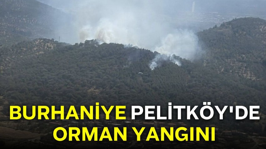 Burhaniye Pelitköy'de Orman Yangını