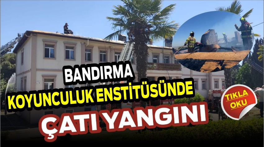 Bandırma’da Koyunculuk Araştırma Enstitüsünde Çatı Yandı