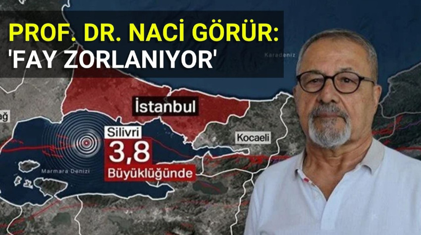 Prof. Dr. Naci Görür: 'Fay Zorlanıyor'