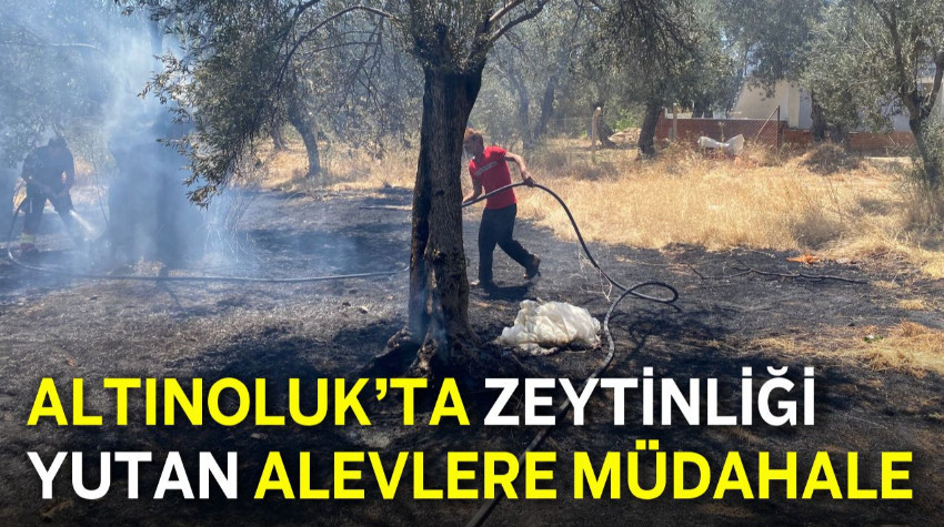 Altınoluk’ta Zeytinliği Yutan Alevlere Müdahale