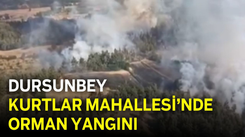 Dursunbey Kurtlar Mahallesi’nde Orman Yangını
