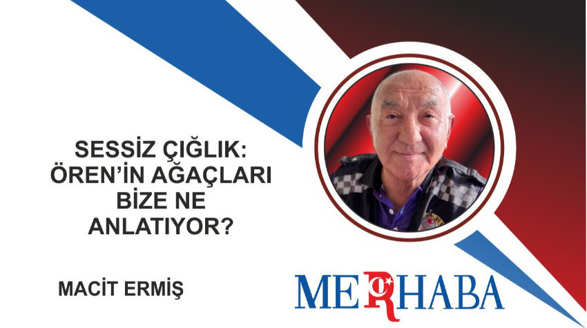 Sessiz Çığlık: Ören’in Ağaçları Bize Ne Anlatıyor?