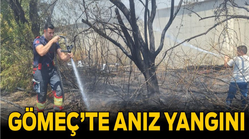 Gömeç’te Anız Yangını Korkuttu