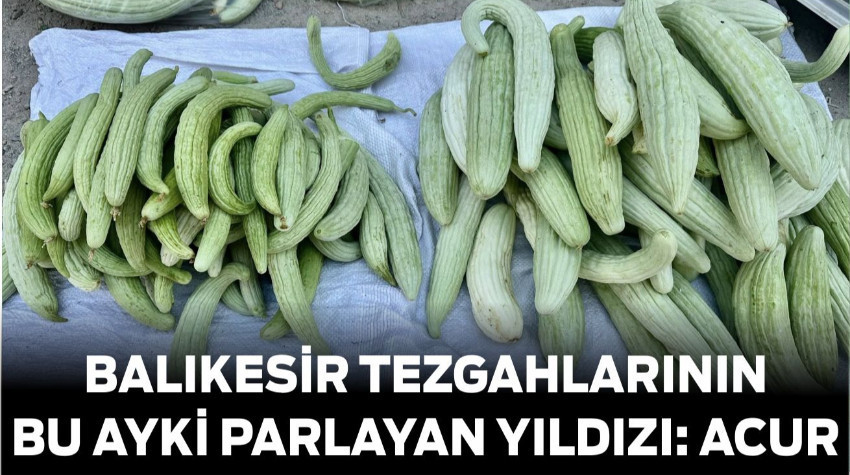 Balıkesir Tezgahlarının Bu Ayki Parlayan Yıldızı: Acur
