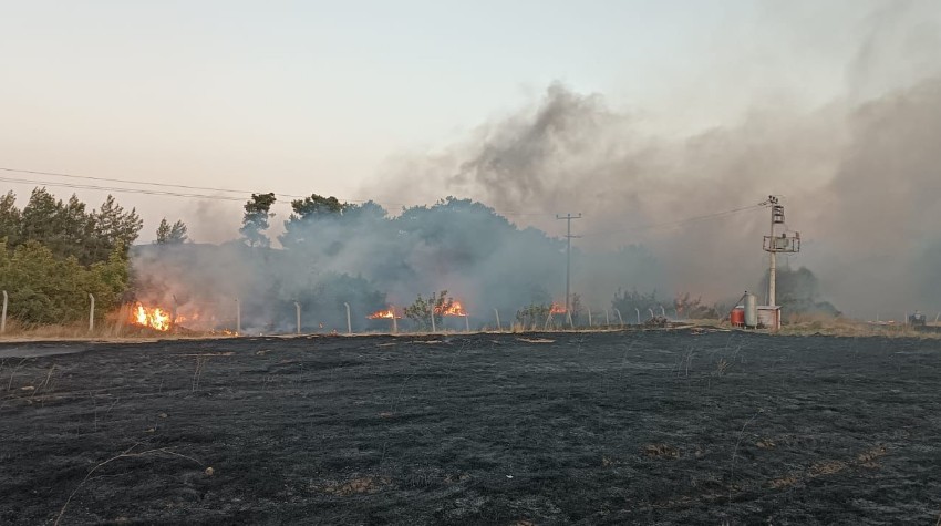 Balıkesir Savaştepe’de Korkutan Orman Yangını