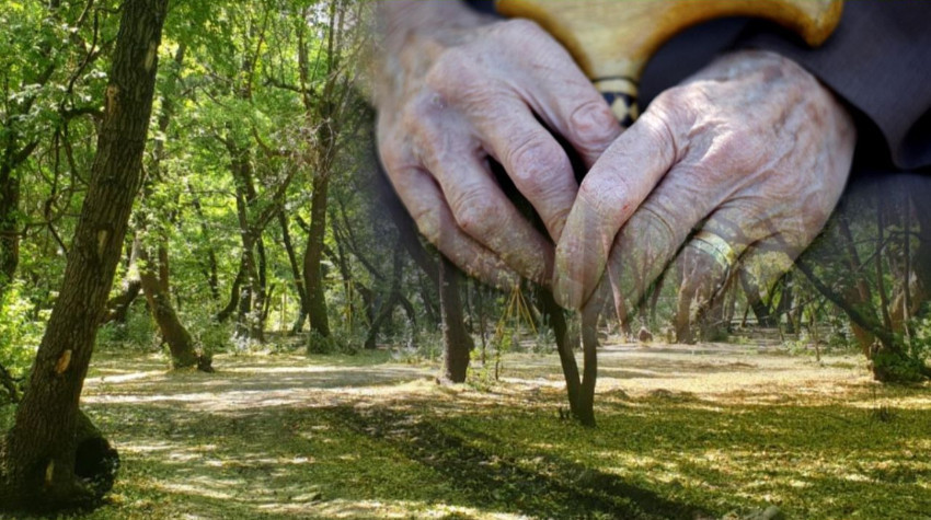 Balıkesir’de Alzheimer Hastası Zeytinlikte Ölü Bulundu