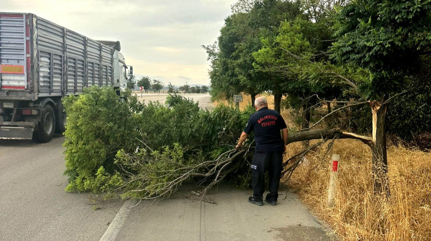 Balıkesir’de Şiddetli Fırtına Ağaçları Devirdi