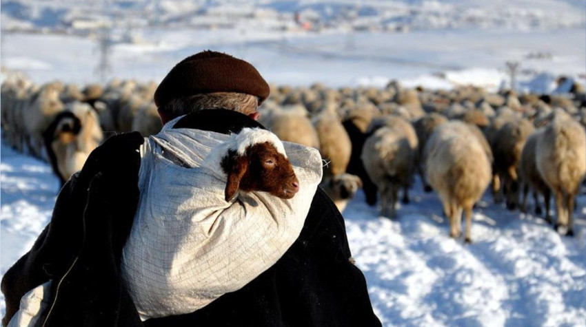 SEGE-2025 Sonuçları: Balıkesir Yaşam Kalitesinde Kaçıncı Sırada?