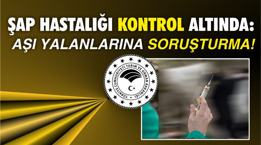 Şap hastalığı kontrol altında: Aşı yalanlarına soruşturma!