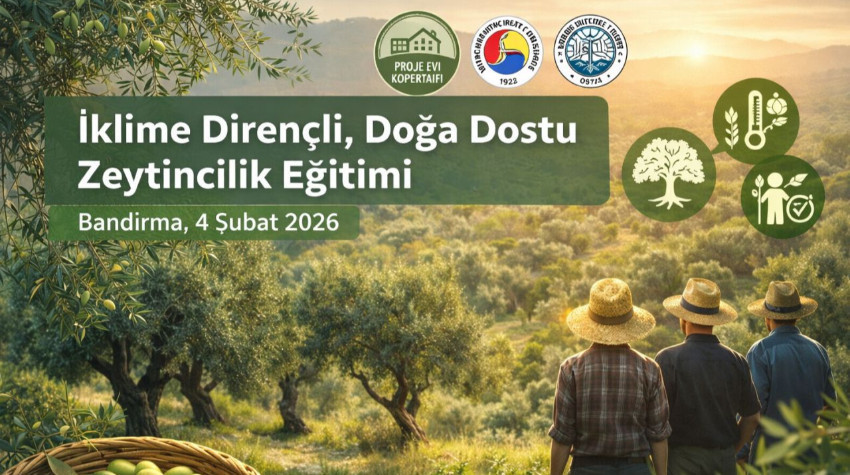 Bandırma’da Zeytincilik Eğitimi