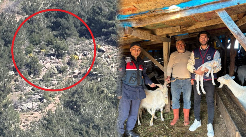 Balıkesir’de Kayıp Sürü İçin Havadan Arama: Jasat Zamanla Yarıştı