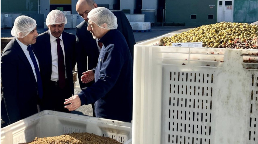 Balıkesir’de Kazdağları Zeytinine Yakın Takip: İl Müdürü Dr. Hüseyin Düzgün İşletmede İnceleme Yaptı