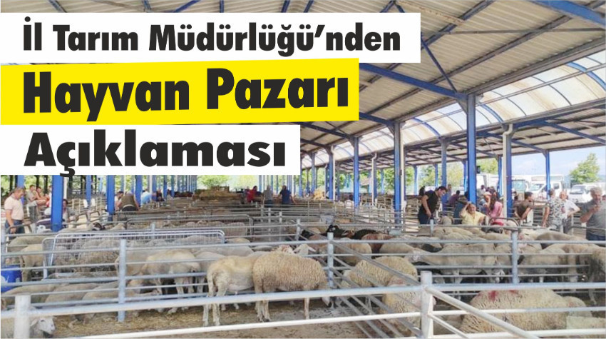 İl Tarım Müdürlüğü'nden Hayvan Pazarı Açıklaması