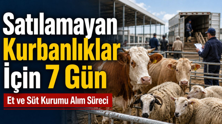 Et Ve Süt Kurumu Duyurdu: Satılamayan Kurbanlık Hayvanlar 1-7 Haziran Arasında Satın Alınacak
