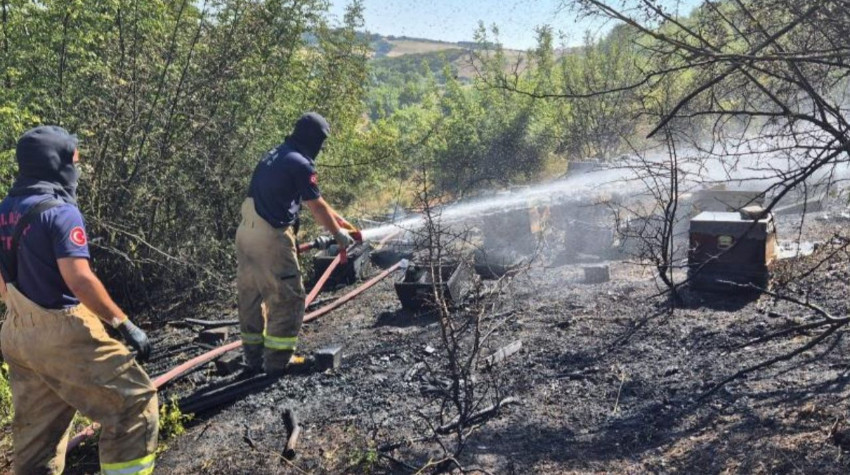Balıkesir'in Susurluk İlçesinde 85 Arı Sandığı Kül Oldu